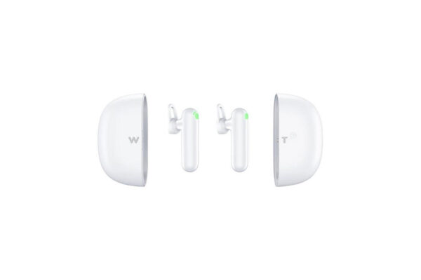 WT2 Translator Earbuds